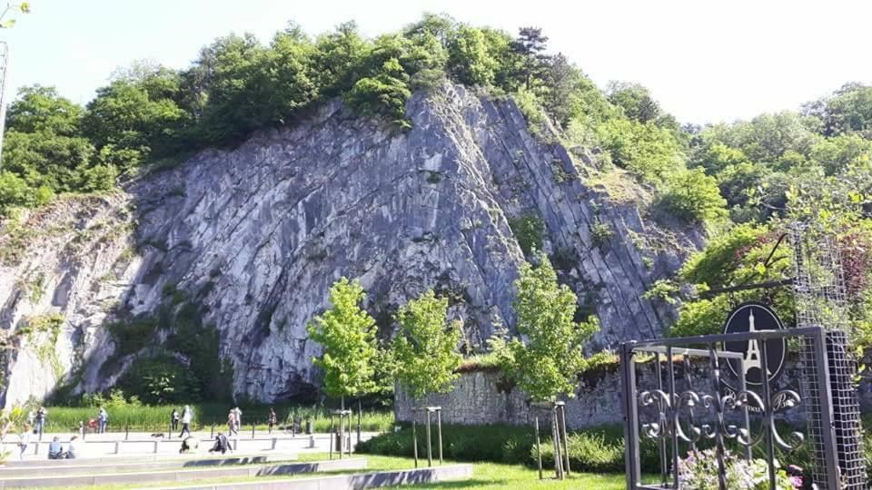 Titi'S Chalet Durbuy Dış mekan fotoğraf