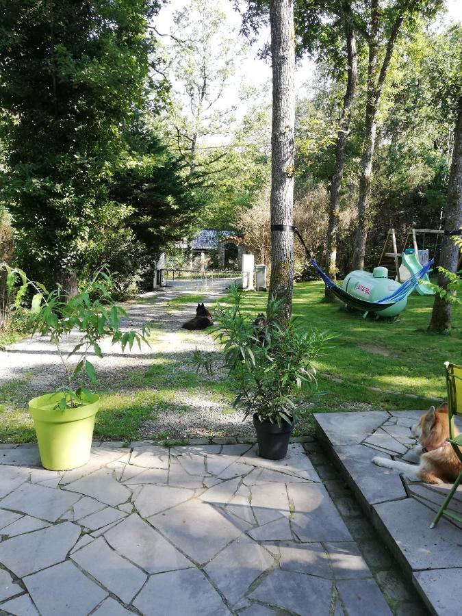 Titi'S Chalet Durbuy Dış mekan fotoğraf
